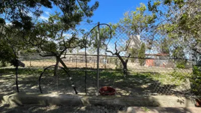 House in Guardamar del Segura photo 23