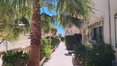 House in Cabo Roig-La Zenia-La Regia photo 37
