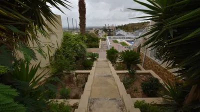 Estudio en Algorfa photo 41