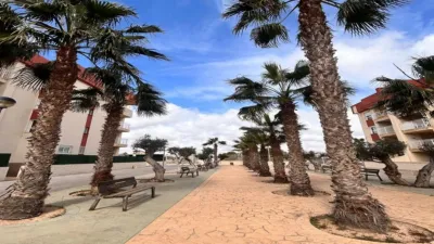 Apartment in Los Dolses-Montezenia-Lomas de Cabo photo 7