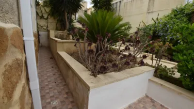 Estudio en Algorfa photo 39