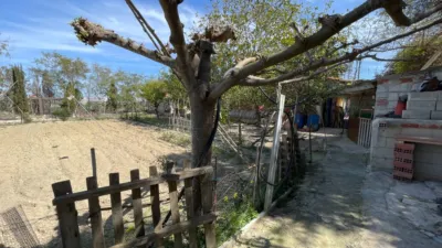 House in Guardamar del Segura photo 26