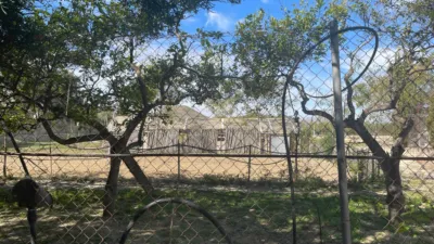 House in Guardamar del Segura photo 22