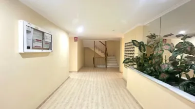 Pis – Torrevieja, San Roque - Vista 5