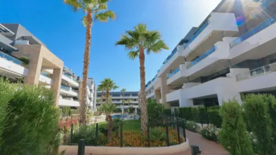 Apartment in Playa Flamenca-Las Piscinas photo 4
