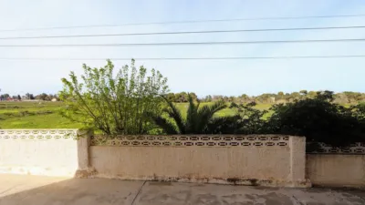 Apartment in Punta Prima-Ciñuelica-Alameda del Mar photo 24