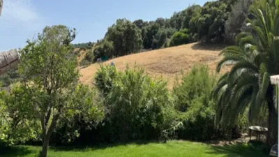 Rustic finca in Casares photo 22