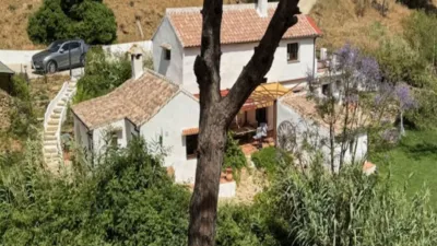 Rustic finca in Casares photo 26
