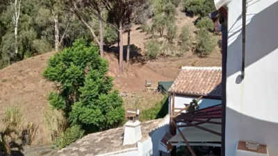 Rustic finca in Casares photo 13