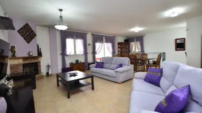 Estudio en Algorfa photo 8
