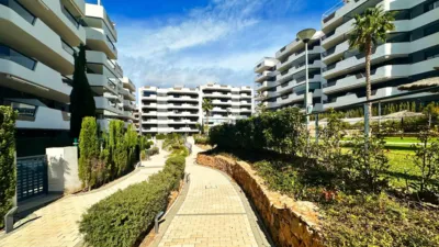Apartamento en Santa Pola photo 29