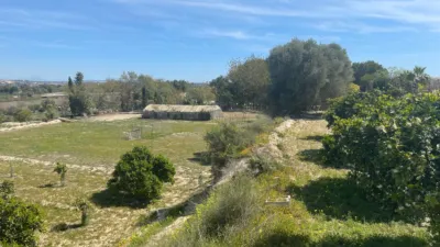 House in Guardamar del Segura photo 15