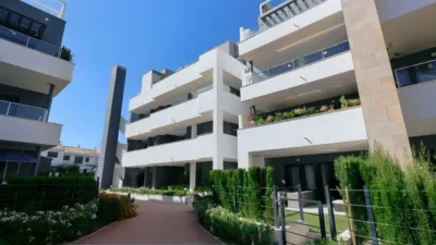 Apartment in Playa Flamenca-Las Piscinas photo 3