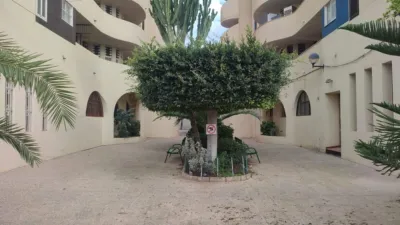 Pis – Torrevieja, Residencial Vistaferris, Urbanización La Ceñuela - Vista 4