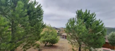 House in Casares photo 10