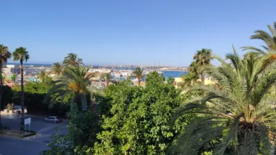 Pis – Torrevieja - Vista 4