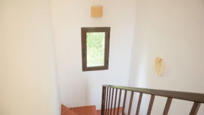 House in Casares photo 6