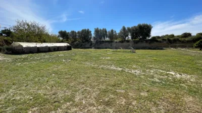 House in Guardamar del Segura photo 30