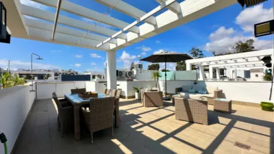 Apartment in Guardamar del Segura photo 39