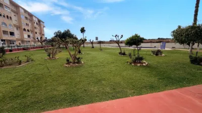 Pis – Torrevieja - Vista 5