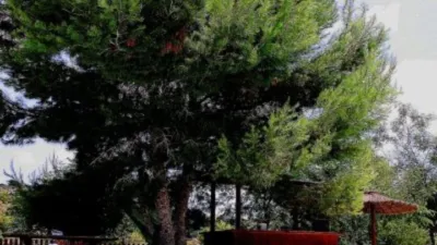 Rustic finca in Gea y Trullols photo 28