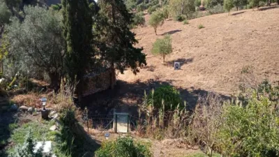 Rustic finca in Casares photo 14
