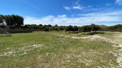House in Guardamar del Segura photo 29