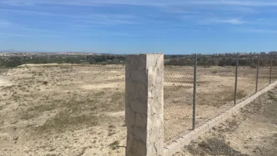 House in Guardamar del Segura photo 35