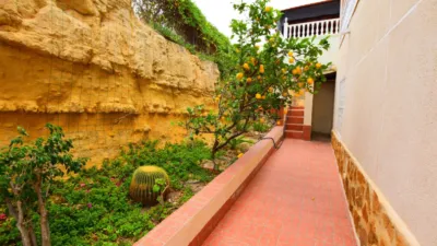 Estudio en Algorfa photo 47