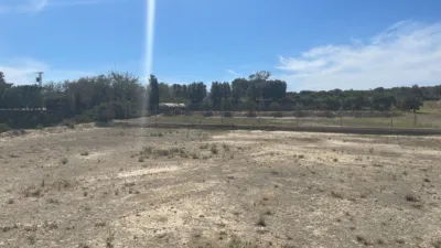 House in Guardamar del Segura photo 31