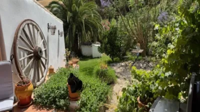 Rustic finca in Casares photo 8