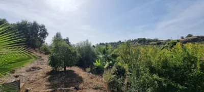 House in Estepona photo 9