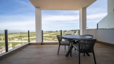 House in Algorfa photo 41