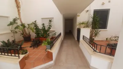 Apartment in Gea y Trullols photo 24