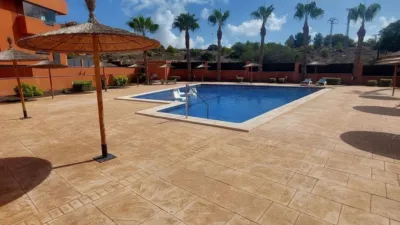 Apartment in Las Filipinas-Villamartín-Canal Norte photo 22