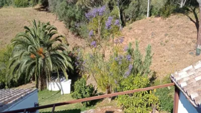 Rustic finca in Casares photo 15