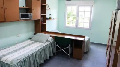 House in Cabo Roig-La Zenia-La Regia photo 15