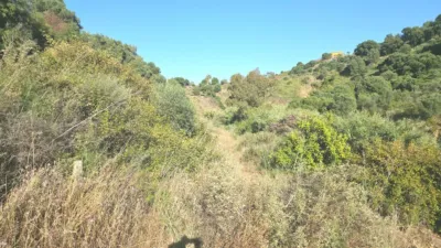 House in La Cala Golf-Lagar Martell photo 47