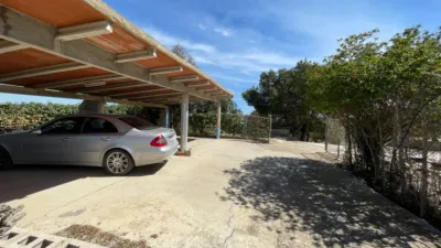 House in Guardamar del Segura photo 4