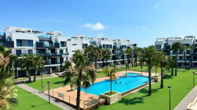 Apartment in Guardamar del Segura photo 31