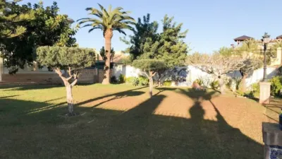 House in Cabo Roig-La Zenia-La Regia photo 25