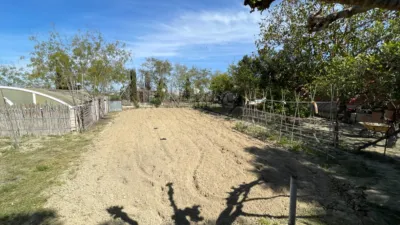 House in Guardamar del Segura photo 27