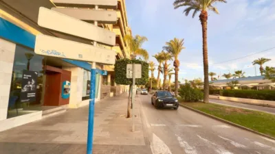 Pis - Vista 5