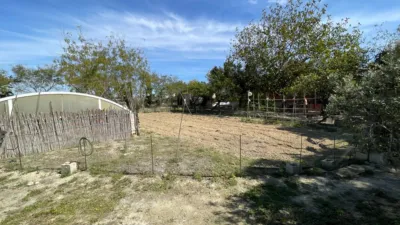 House in Guardamar del Segura photo 28
