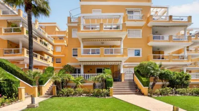 Apartment in Cabo Roig-La Zenia-La Regia photo 9