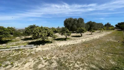 House in Guardamar del Segura photo 39