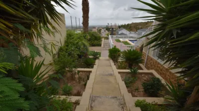 Estudio en Algorfa photo 40