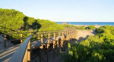 Apartamento en Santa Pola photo 33