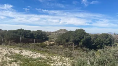 House in Guardamar del Segura photo 34