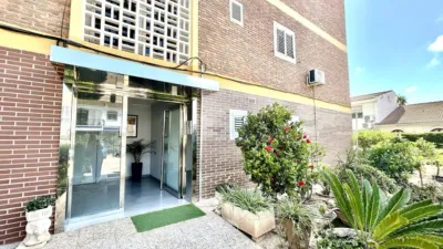 Apartamento en Cabo Roig-La Zenia-La Regia photo 5